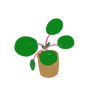 Foto profil Grassdener