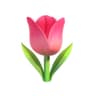 Profile picture of Raafa