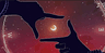 Profile picture of Nexus Templates